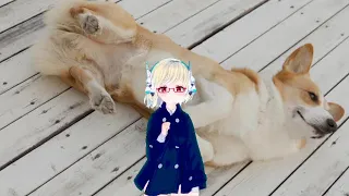 コドモヘコル Full 