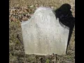 Bushman Fuller Burial at Elmwood Cemetery of Holyoke Massachusetts