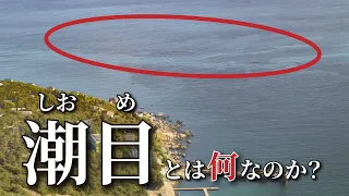 【釣りの基礎知識】「潮目」とは何なのか？を完全解説！