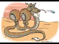 17 Camel to Snake Case JavaScript Coding Challenge