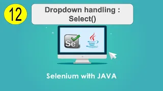 12 DropDown Handling Select class Selenium Automation