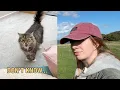Download Lagu I Think I've BROKEN it! Ouch! + A Chatty Free Cat!