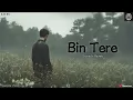 Bin Tere - Sreerama Chandra | Trending Hindi Love Song | (Slowed + Reverb) | Drega Lofi 
