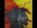 Download Lagu Junior Reid - One Blood [Audio]