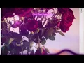 Queen Naija - Good Girls Finish Last (Visualizer)