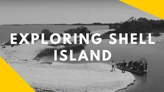 An island made of shells!