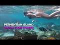 Download Lagu CRYSTAL CLEAR WONDERS: Pulau Perhentian's Underwater Magic