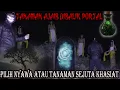 Download Lagu TANAMAN SEJUTA KHASIAT BERADA DI BUKIT SANTRO-DILEMA KORBANKAN NYAWA DEMI POHON AJAIB