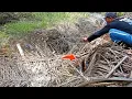 Download Lagu Di jamin gak kuat bawa pulang ikan kalo spotnya segacor ini‼️