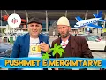 Download Lagu Mergimtar ku jane paret? Dasma, Kerre, Deti, Restaurante, Fustana etje 