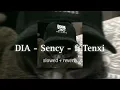 Lagu DIA - Sency - ft.Tenxi (Slowed + Reverb)