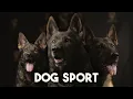Dog Sport - Episode 1