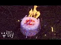 pami - lie visualiser