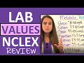 Lab Values Nursing NCLEX Review for Nurses and Nursing Students