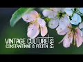 Vintage Culture, Constatinne, Felten - Eyes