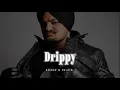 Drippy - Slowed & Reverb - Sidhu Moose Wala X AR Paisley