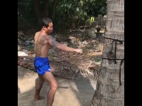 Download MP3 Muay Thai Shin Conditioning with Palm Tree 😮
