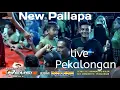 Lagu Terbaru!!Dagang pindang_Rena Movies New Pallapa 2023