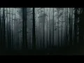 Air raid siren sound effect