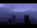go to sleep, you need it.