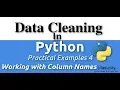 Data Cleaning In Python - Working with Column Names Practical Examples