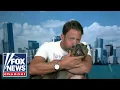 Dave Portnoy s rescue dog Miss Peaches goes viral The sweetest angel