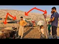 Download Lagu Een gebroken belofte: de bittere confrontatie tussen Javad en Qasem