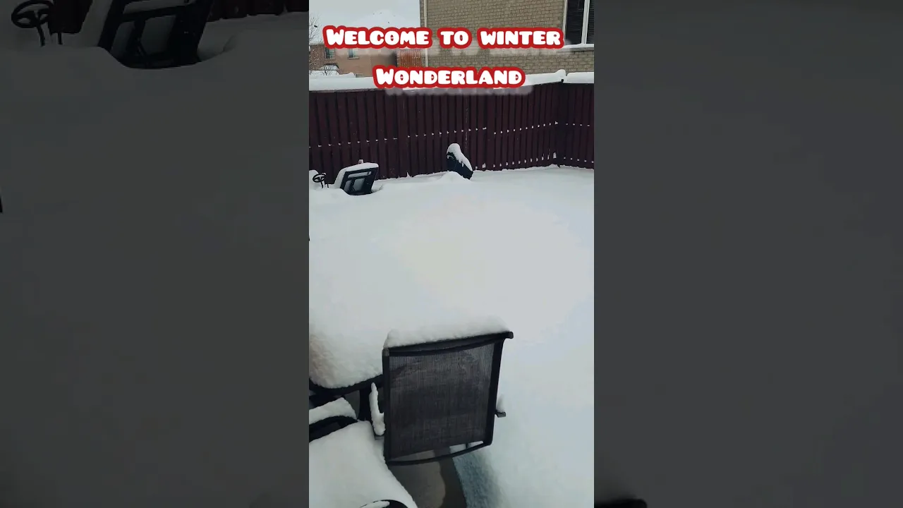 Our Backyard in Toronto #jointfamilyvlog  #canada #snow #bramptonwale #bramptonpind #toronto