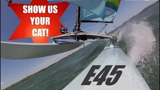 Show us your cat! Episode 45 Poland Australia and USA
