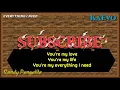 Download Lagu Everything I Need - Randi Pangalila (No Vokal + Lirik)