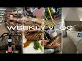Download Lagu LIVING ALONE DIARIES; furnishing my apartment, family dinner, shopping and more ….