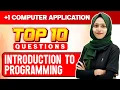 Plus One Christmas Exam CA Introduction To Programming Important 10 Questions Exam Winner