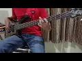 Download Lagu I Can't Stop The Loneliness Bass Cover