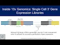 Inside 10x Genomics Single Cell 3 Gene Expression Libraries