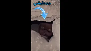 رصد حارس الكنز يرعب المغامرين في باطن الأرض 