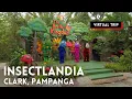 GIANT INSECTS at INSECTLANDIA in Clark Pampanga Philippines Walking Tour