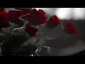 Sertab Erener - Bu Böyle (Eng Sub)