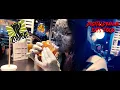DigitalDyanne Eats Food - Episode 1