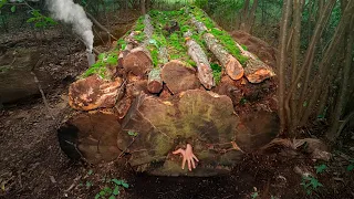 My Most Hidden Bushcraft Shelters | Full Movie