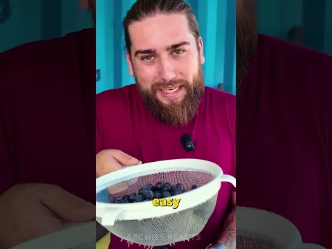 Hairdryer + Blueberries?! 😳🫐 Testing This Viral Hack!