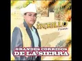 El tigrillo palma 15 años de prisión
