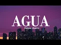 Maluma, Shakira - Agua (Letra/Lyrics)