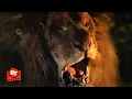 Download Lagu The Ghost and the Darkness (1996) - Killing The Last Lion Scene | Movieclips