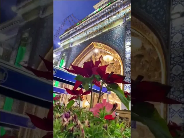 ⁣هل صلّيت اليوم على محمد وآل محمد