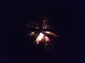 Download Lagu Suara nyanyian malam penunggu hutan kalimantan