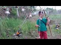 Download Lagu Suara pikat buat sogok ontong dan kemade di jamin lengket