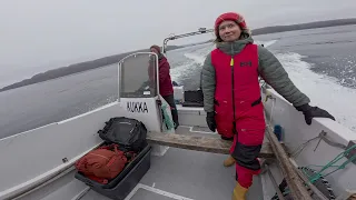 A Day of Seal Hunting With the Locals in Greenland