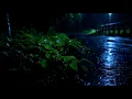 Download Lagu Forest Rain Therapy 🌲 Calm the Soul \u0026 Fall Asleep Fast #483