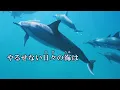 ダーリン Mrs. GREEN APPLE ミセス カラオケ on vocal  練習用  原曲キー 歌付き ボーカル入り 歌詞付き karaoke songs