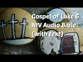 Luke 6 NIV Bible with text